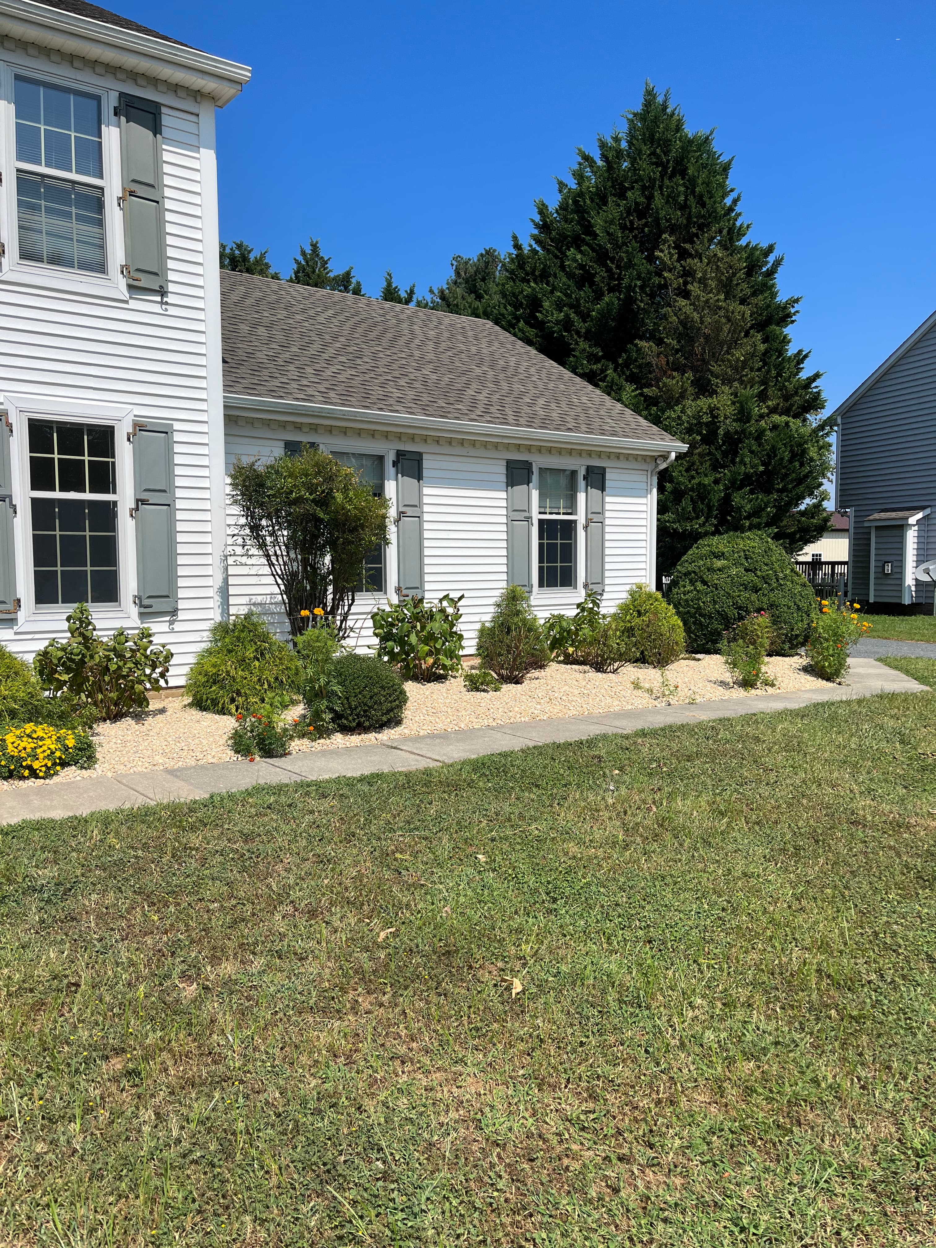 Yard after transformation