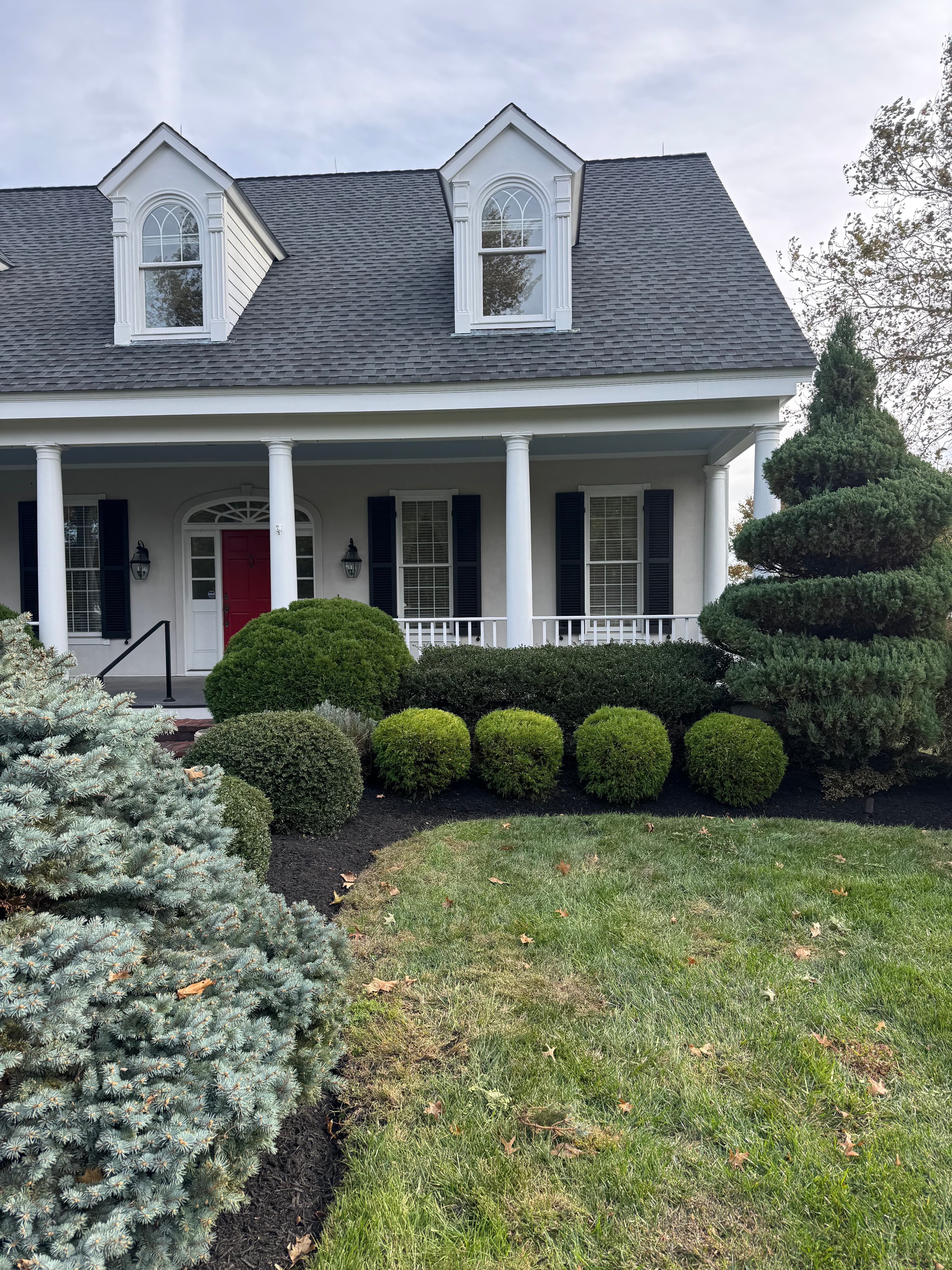 Lawn after renovation