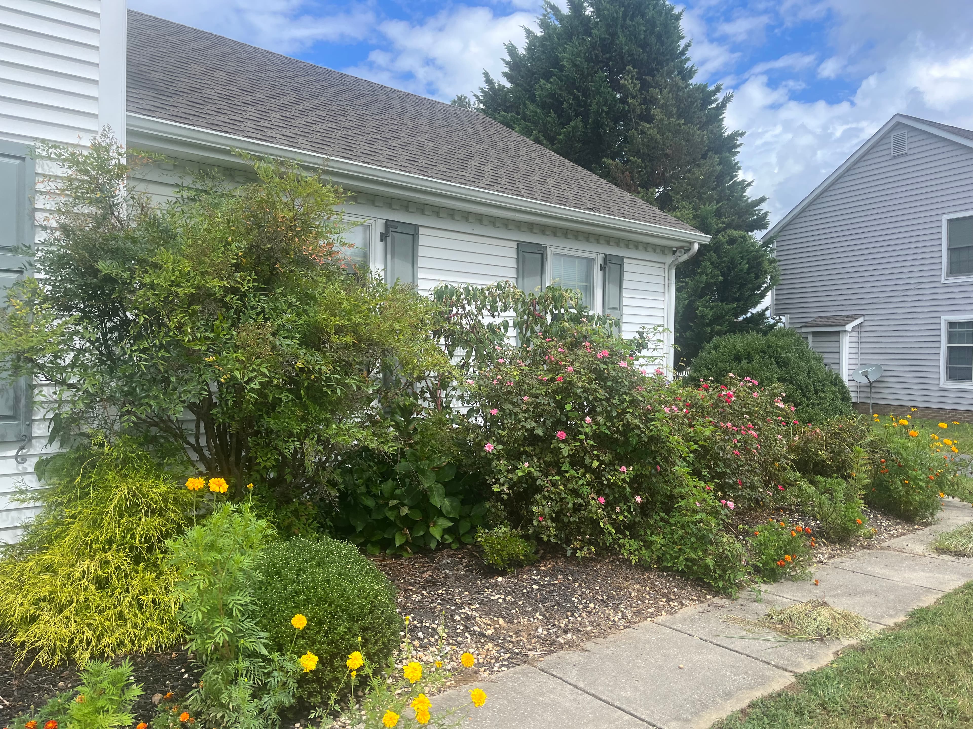 Yard before transformation