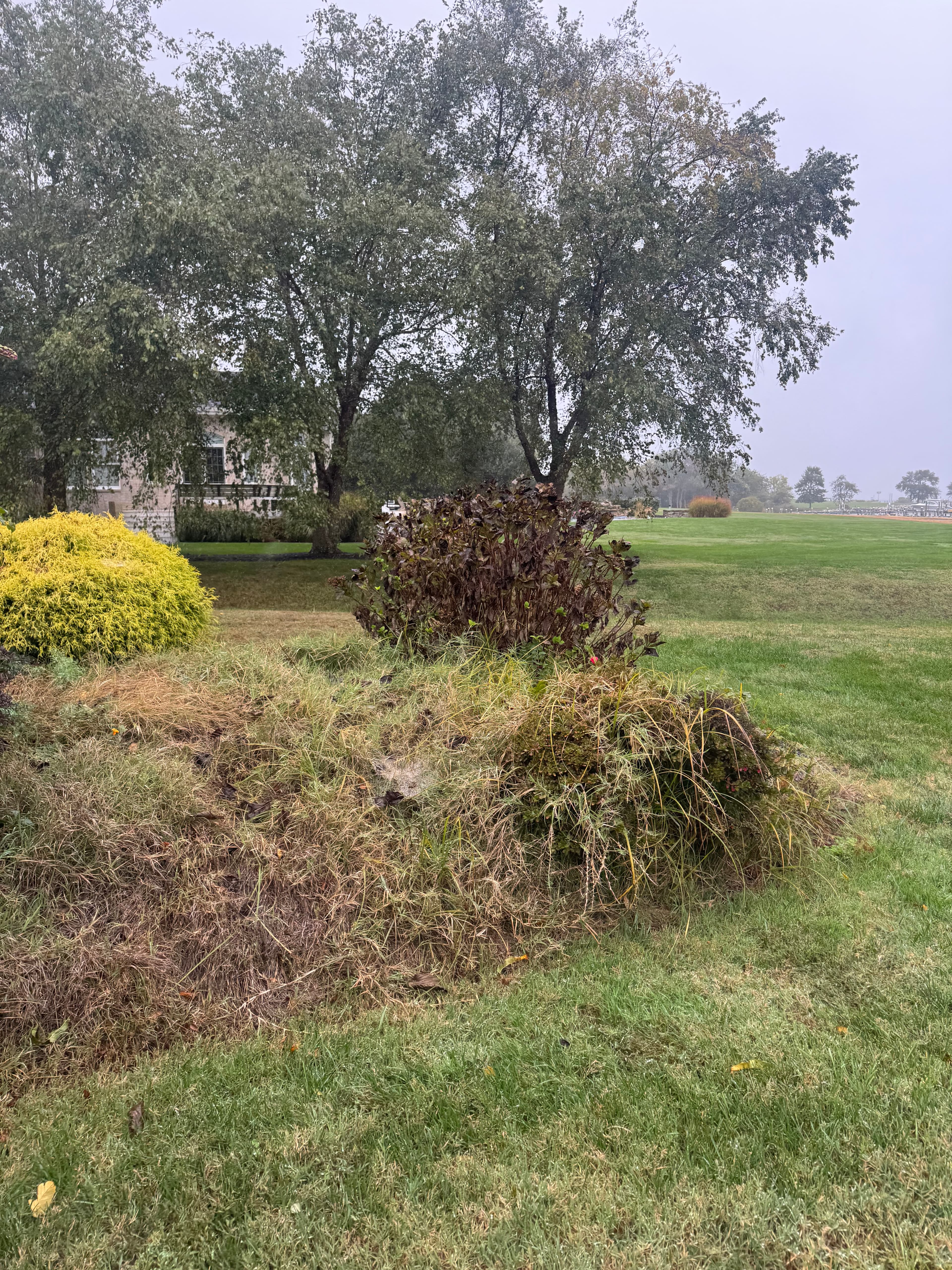 Property before landscaping