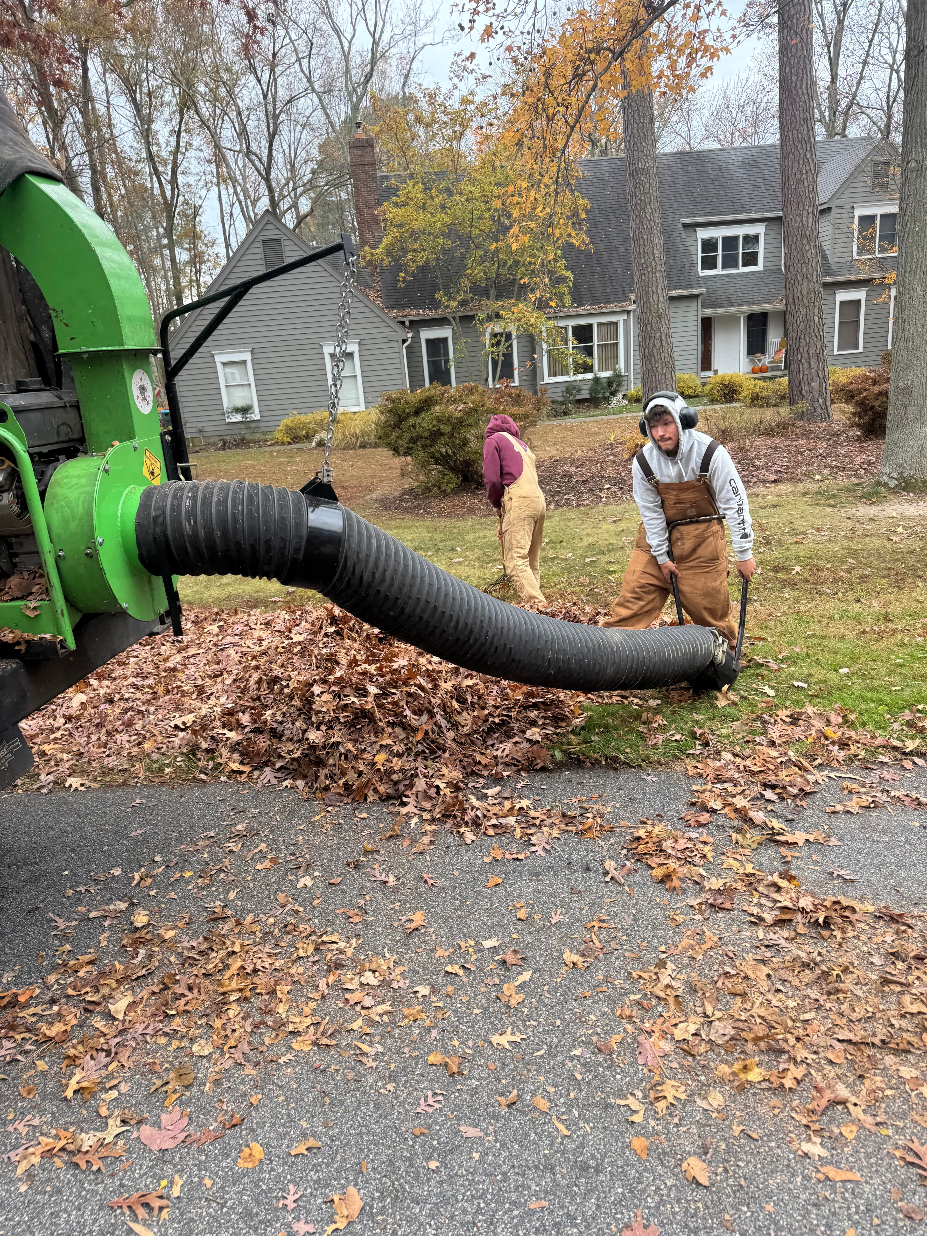 Leaf removal service