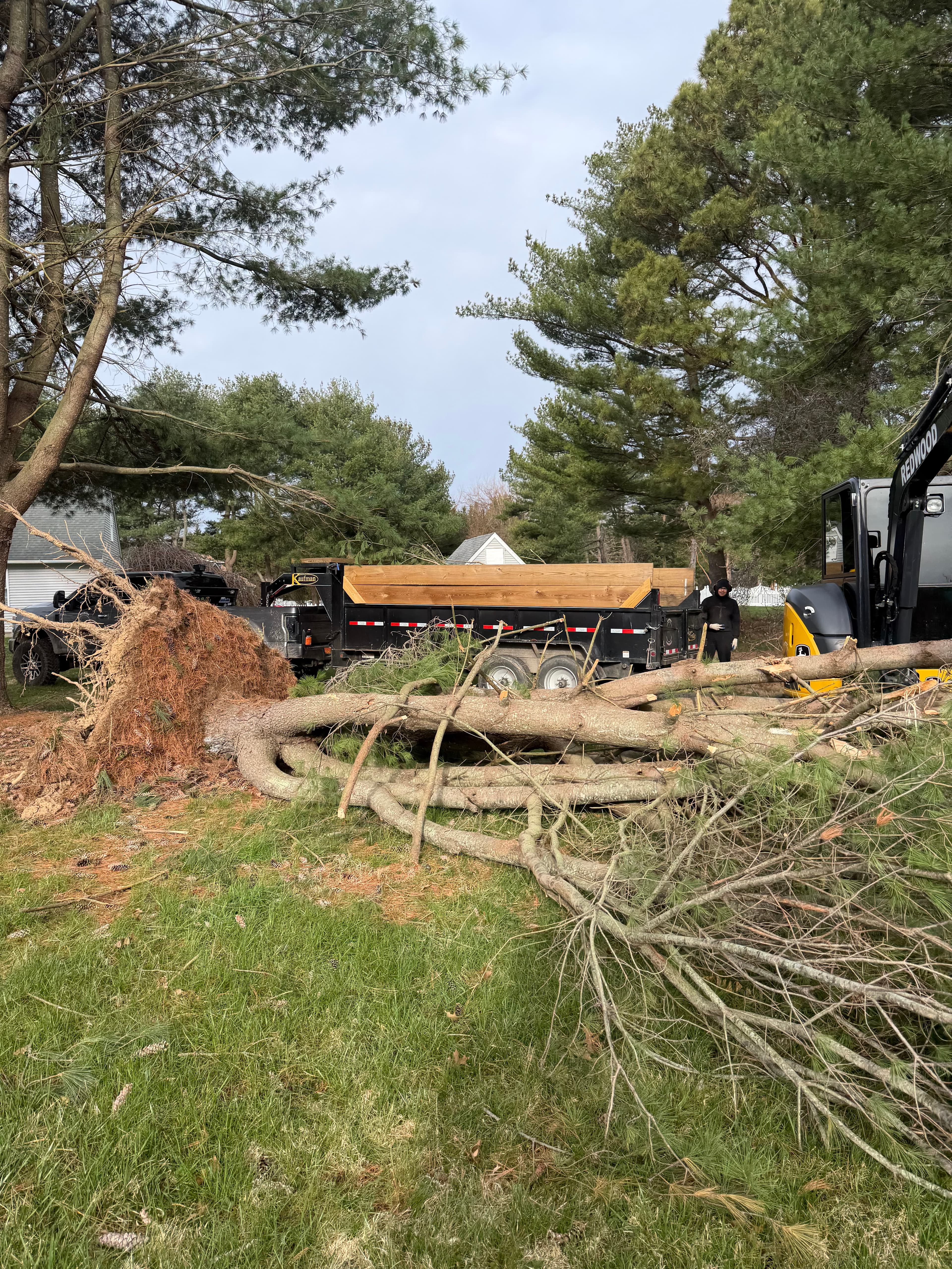 Emergency tree service