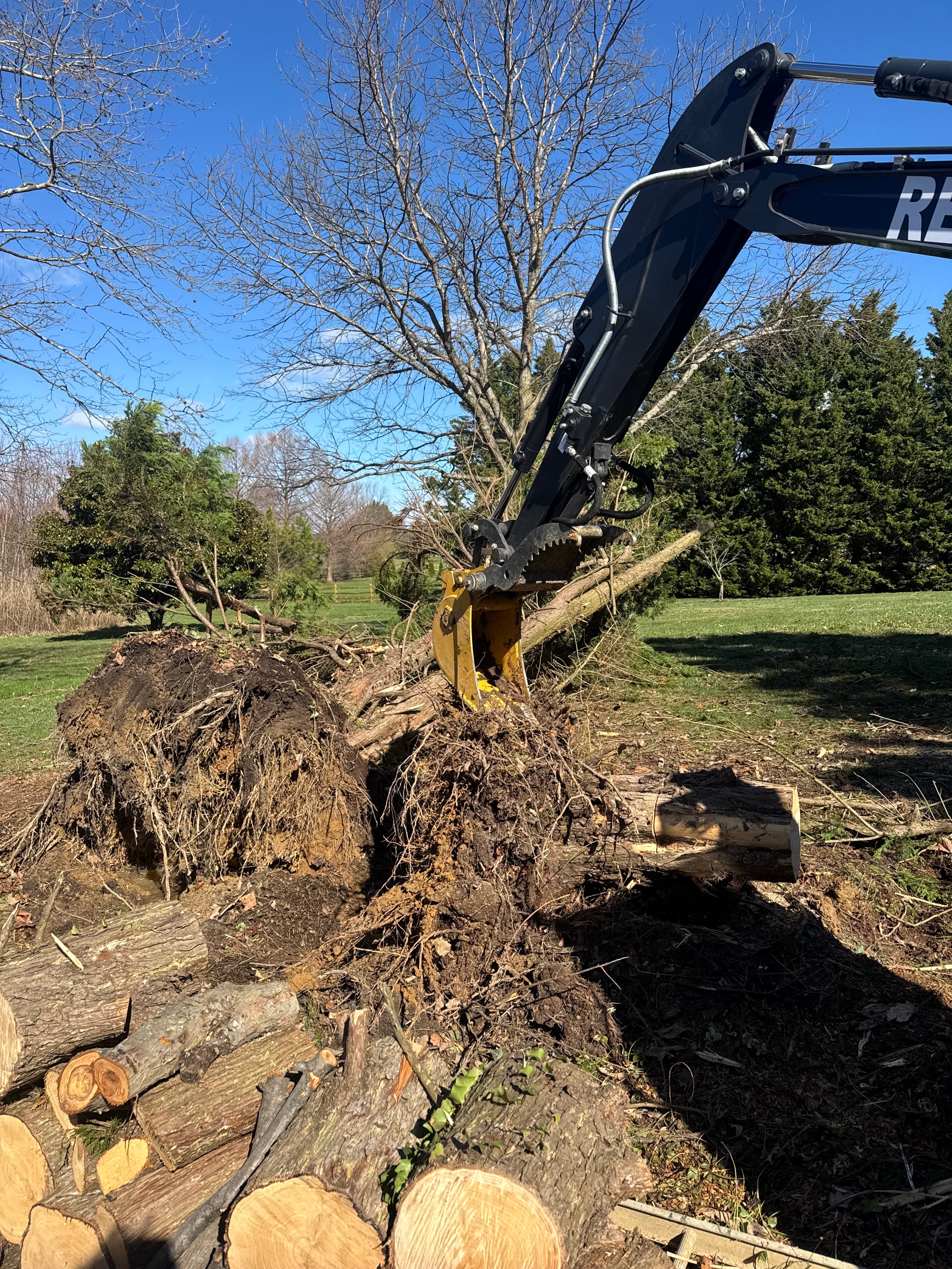 Tree cutting service