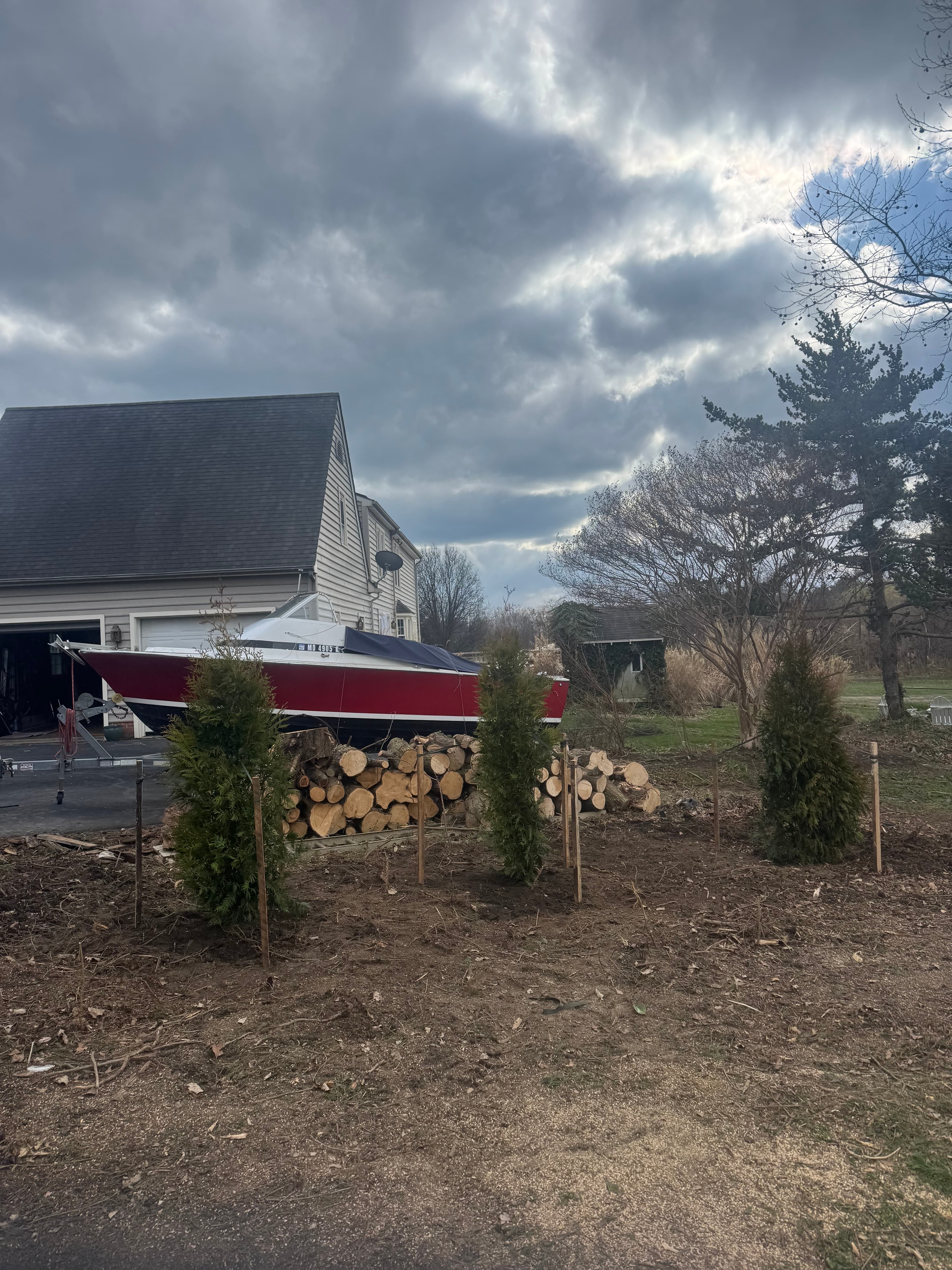 Storm damage tree response